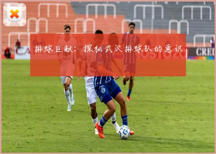 排球巨献：探秘武汉排球队的意识