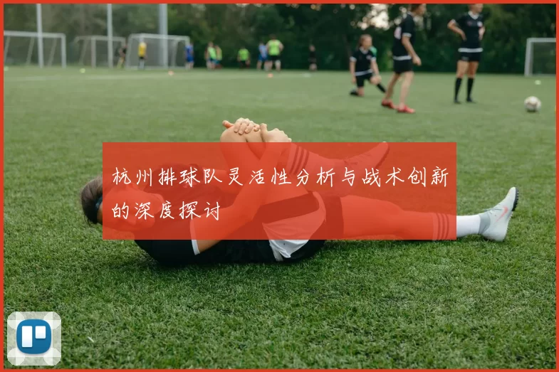 杭州排球队灵活性分析与战术创新的深度探讨